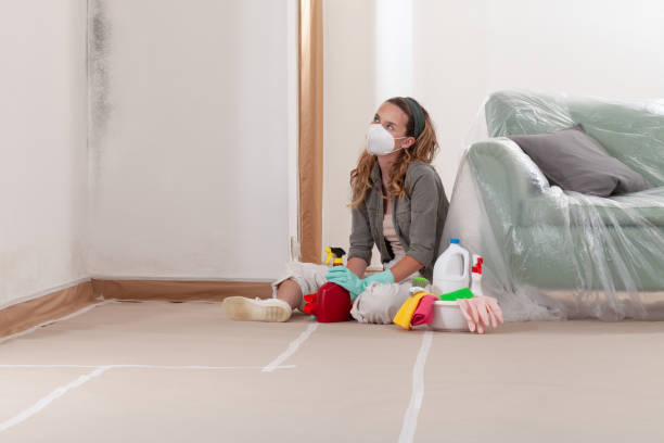 Reliable Mold Removal contractor in Midland, TX by WQB Mold Removal